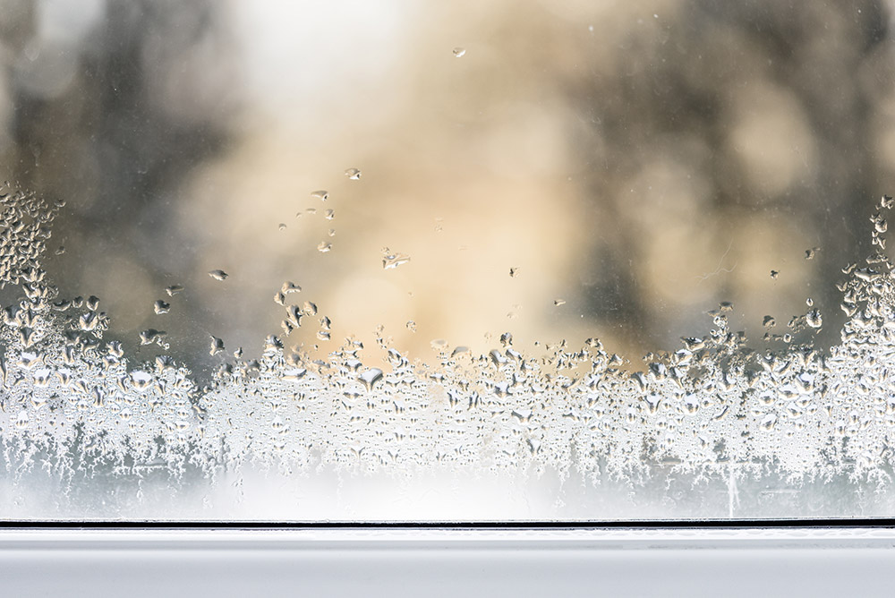Bildet sich Kondenswasser im Scheibenzwischenraum Ihrer Mehrscheibenfenster, sollten Sie diese überprüfen lassen.