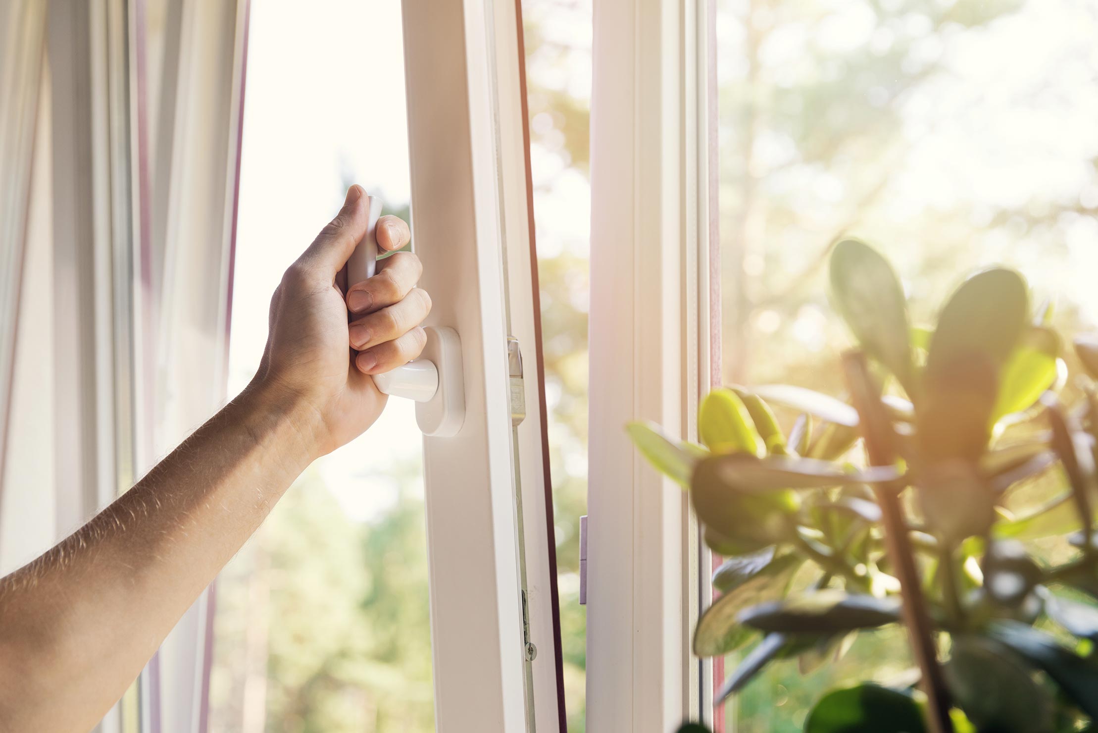 Dreh-Kipp-Fenster sind auch mit zwei Flügeln erhältlich.