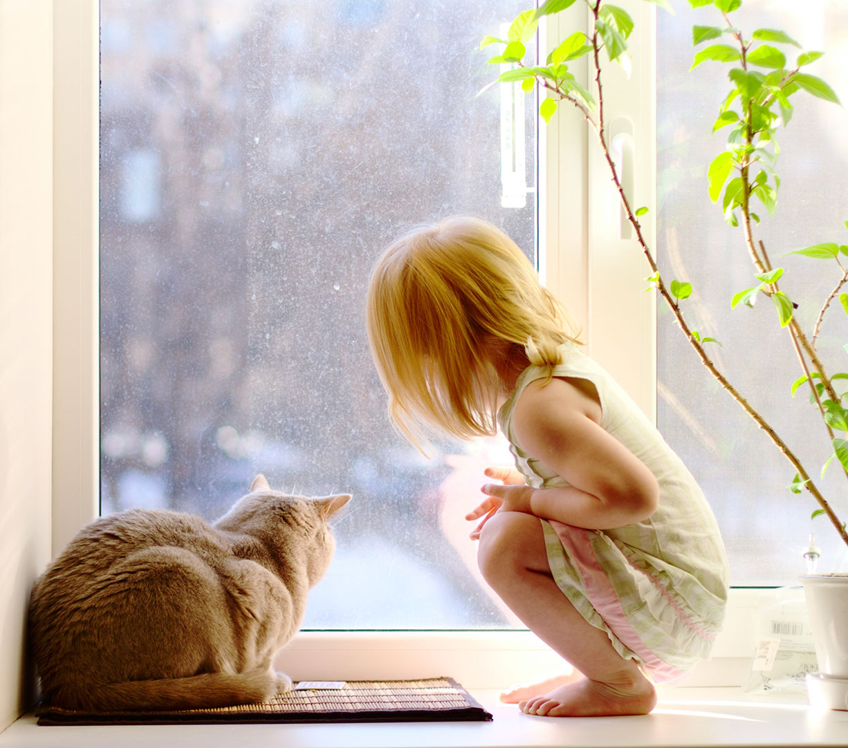 Kind mit Katze am Kunststofffenster Hochwertige Kunststofffenster bieten Ihnen weit mehr als nur einen Ausblick. Sie sorgen auch für einen angenehmen Wohnkomfort, durch Wärmeschutz, Schallschutz und Sicherheit durch Einbruchschutz.