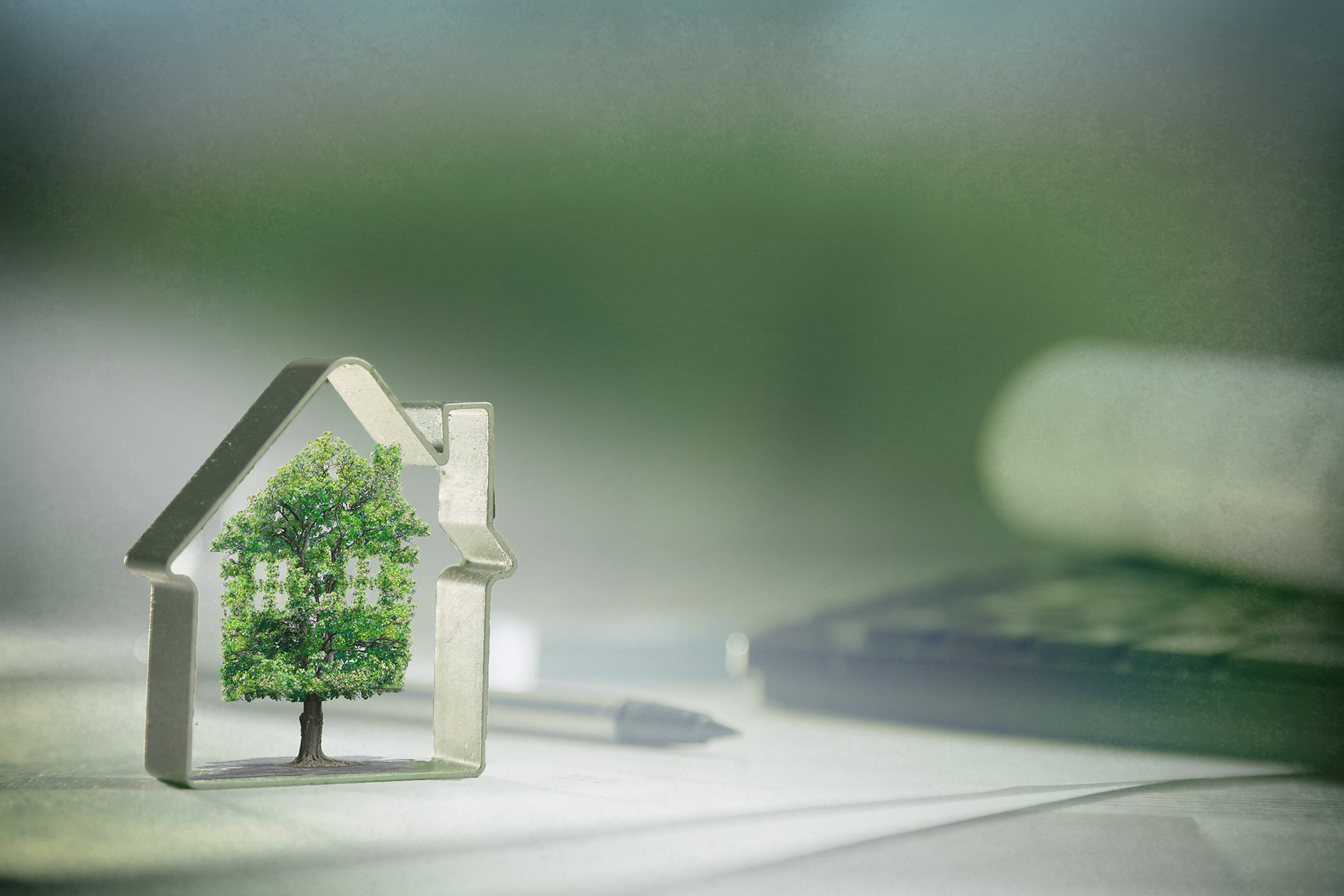 GEG 2020 Kleiner Baum in Haus